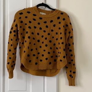 Madewell polka dot sweater